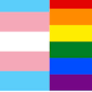 Meet your Posher, Camren